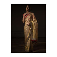 Golden Sheer Saree In Silk With Embroidered Border Online - Kalki Fashion