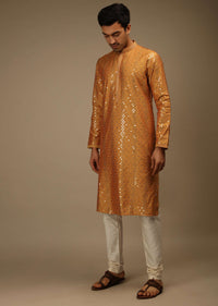 Topaz Kurta Set In Silk With Resham And Sequins Abla Embroidered Geometric Motifs