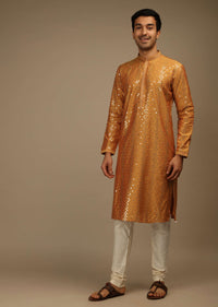 Topaz Kurta Set In Silk With Resham And Sequins Abla Embroidered Geometric Motifs