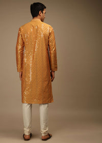 Topaz Kurta Set In Silk With Resham And Sequins Abla Embroidered Geometric Motifs