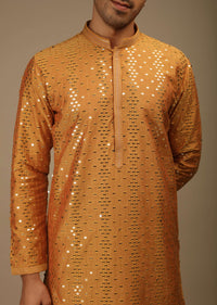 Topaz Kurta Set In Silk With Resham And Sequins Abla Embroidered Geometric Motifs