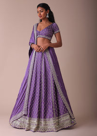 Lilac Purple Lehenga With Handwork Embroidery