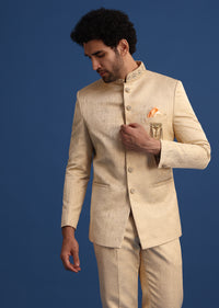 Gold Embroidered Jodhpuri Set with Hand Work