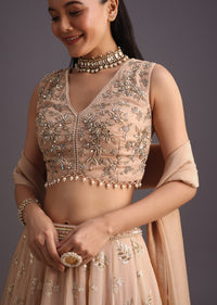 Peach Embroidered Choli And Sequin Work Lehenga With Organza Dupatta