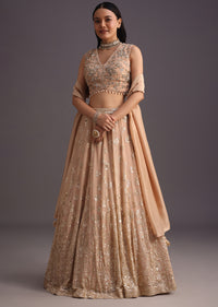 Peach Embroidered Choli And Sequin Work Lehenga With Organza Dupatta