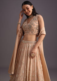 Peach Embroidered Choli And Sequin Work Lehenga With Organza Dupatta