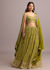 Green Embroidered Lehenga Choli With Butti Work Organza Dupatta