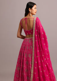 Dark Pink Embroidered Lehenga Choli With Butti Work Organza Dupatta