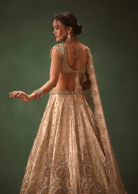 Dusty Pink Brocade Hand Embroidered Bridal Lehenga With Two Dupattas