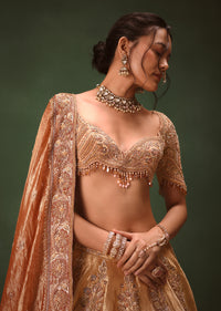 Gold Hand Embroidered Lehenga Set With Zardosi and Gold Sequence Work