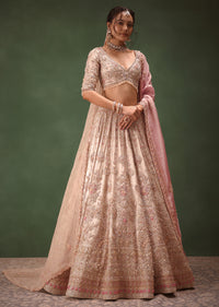 Silver Blush Pink Lehenga With Two Dupattas