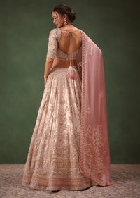 Silver Blush Pink Lehenga With Two Dupattas