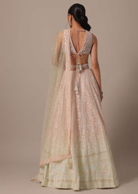 Peach Net Lehenga Set With Cutdana Work