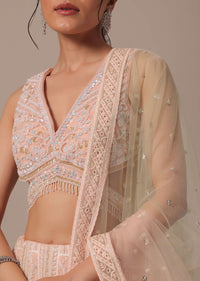 Peach Net Lehenga Set With Cutdana Work