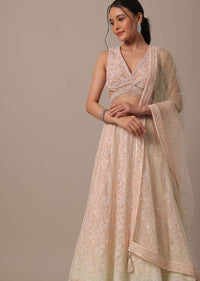 Peach Net Lehenga Set With Cutdana Work