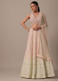 Peach Net Lehenga Set With Cutdana Work