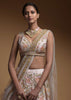 Baby Pink Lehenga Choli In Raw Silk With Hand Embroidered Resham Flowers