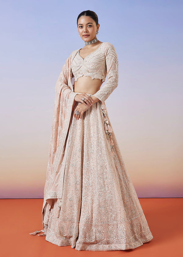 Baby Pink Lucknowi Chikankari Lehenga With Dupatta