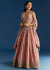 Baby Pink Tissue Lehenga Set With Mirror Sequins Choli