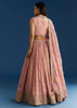 Baby Pink Tissue Lehenga Set With Mirror Sequins Choli