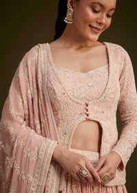 Baby Pink Georgette Lehenga Set With Lucknowi And Mirror Work