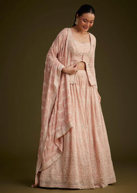 Baby Pink Georgette Lehenga Set With Lucknowi And Mirror Work