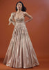 Tan Brown Gown In With Embellished Sleeve - NOOR 2022