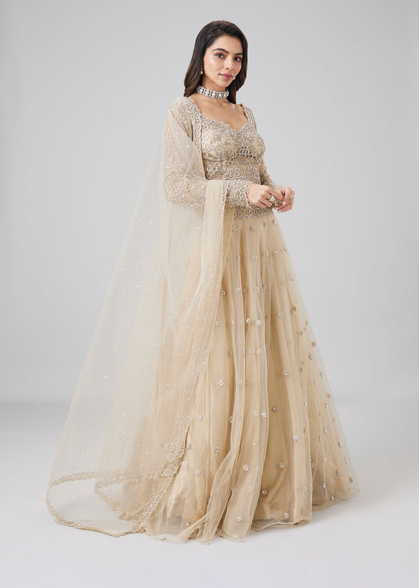Beige Embellished Net Lehenga Set With Dupatta