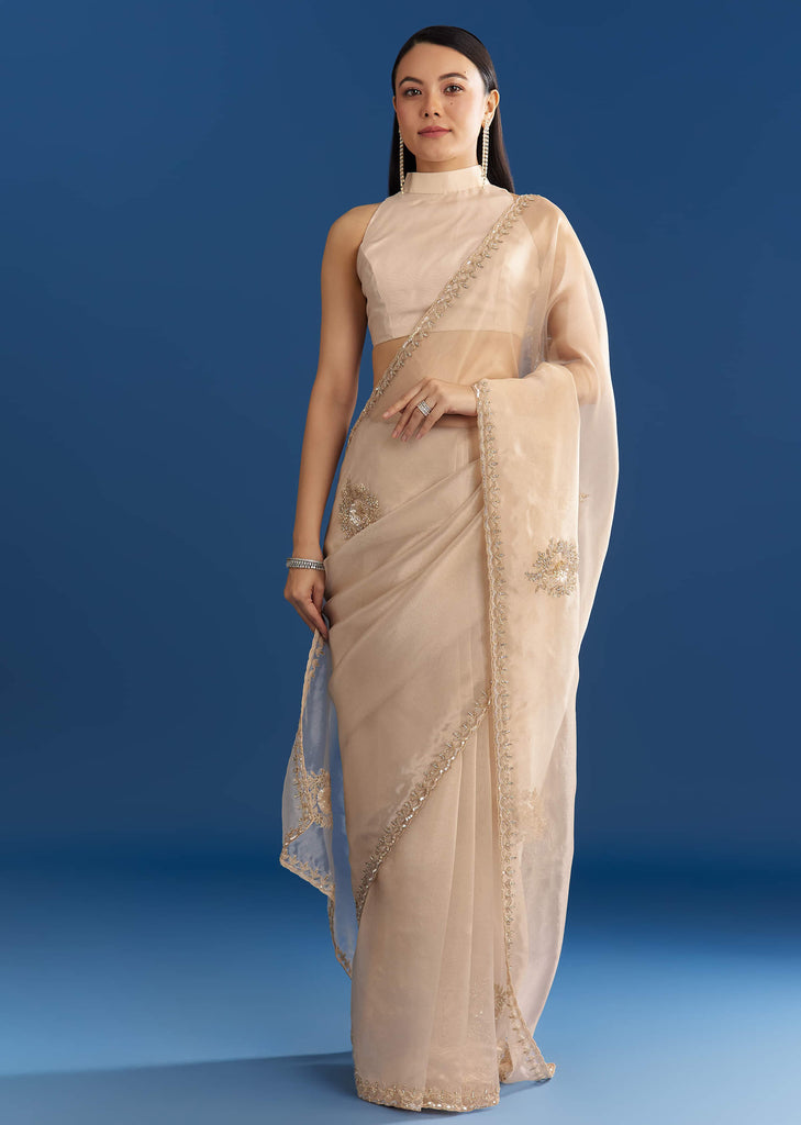 Beige Organza Tissue Saree With Delicate Embellished Edge