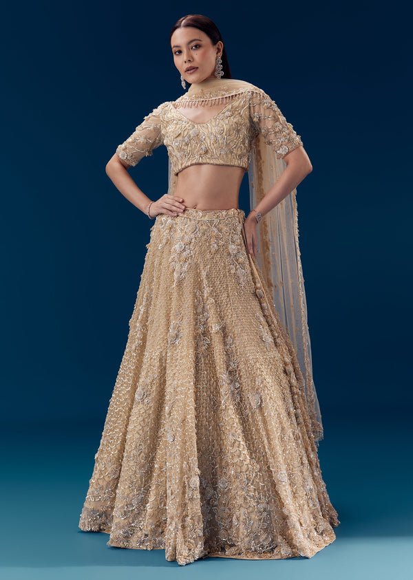 Beige Resham Embroidered Bridal Lehenga Set