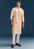Beige Silk Kurta Set For Men With Thread And Mirror Embroidery