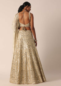 Beige Chanderi Mirror Embellished Lehenga Set