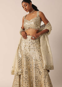 Beige Chanderi Mirror Embellished Lehenga Set