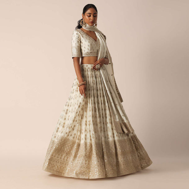 Beige Chiffon Embroidered Lehenga Set