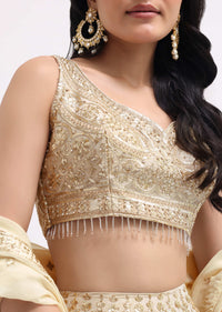 Beige Embroidered Tissue Lehenga Choli Set