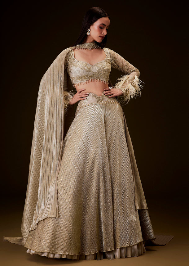 Beige Gold Crush Fabric Lehenga With Feather Sleeve Blouse
