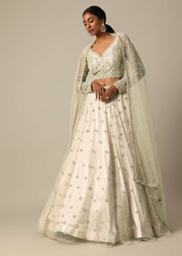 Beige Hand Embellished Blouse And Lehenga Set