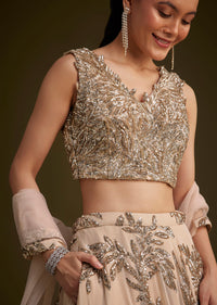 Beige Net Lehenga Set With Sequins Dupatta