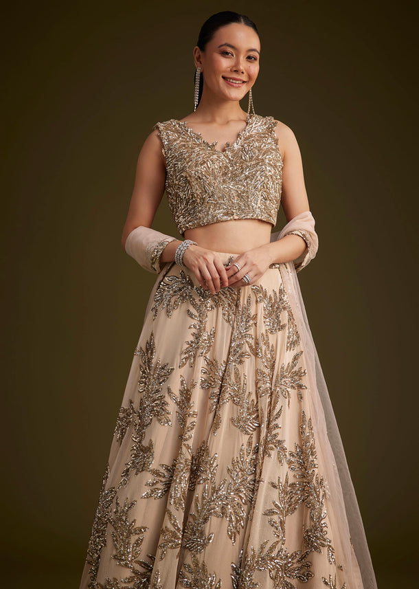 Beige Net Lehenga Set With Sequins Dupatta