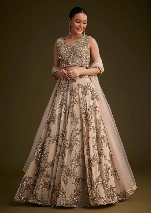 Beige Net Lehenga Set With Sequins Dupatta