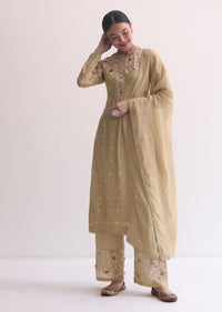 Beige Silk Kurta Pant Set With 3D Floral Work