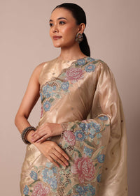 Beige Tissue Silk Saree With Resham Thread Embroidery