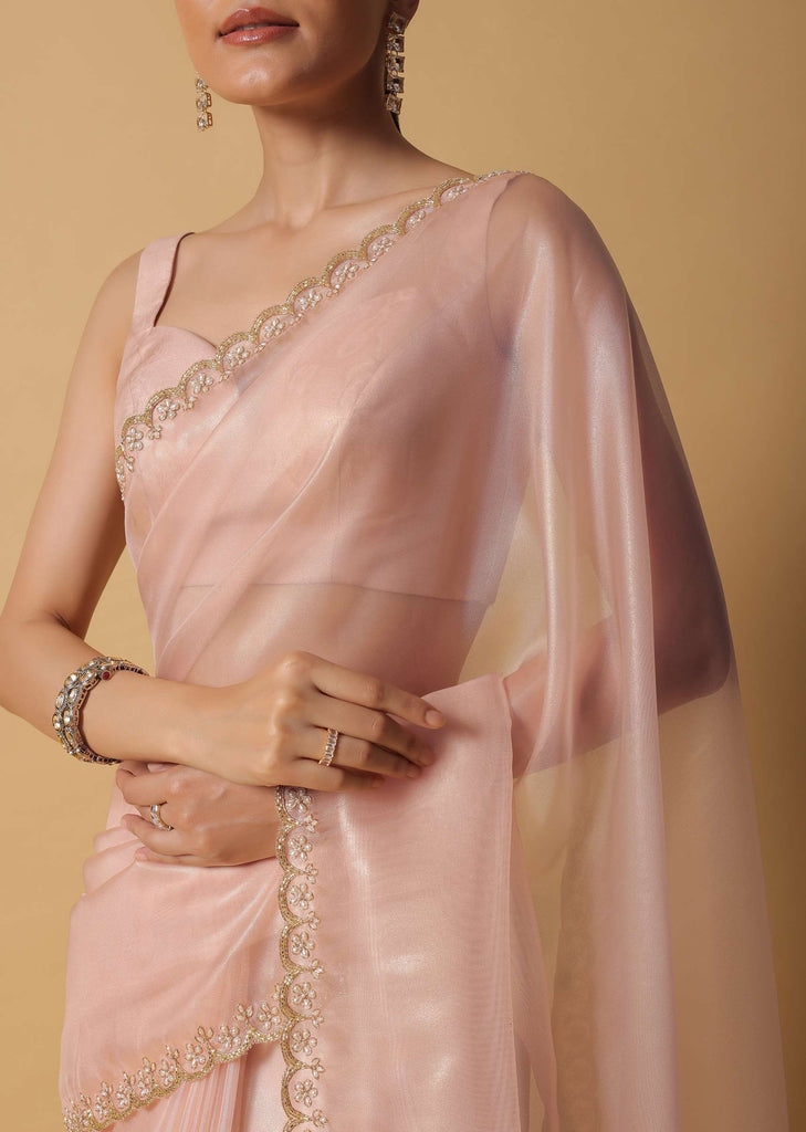 Beige Toned Foil Saree In Tissue With Cut Dana Embroidered Borders