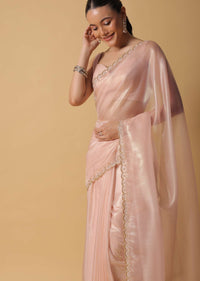 Beige Toned Foil Saree In Tissue With Cut Dana Embroidered Borders