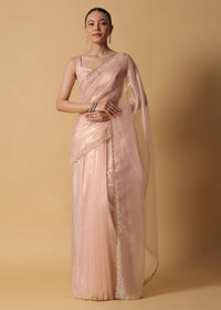 Beige Toned Foil Saree In Tissue With Cut Dana Embroidered Borders