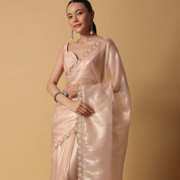 Beige Toned Tissue Saree With Cut Dana Embroidered Borders