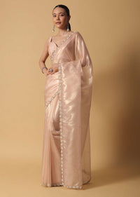 Beige Toned Tissue Saree With Cut Dana Embroidered Borders