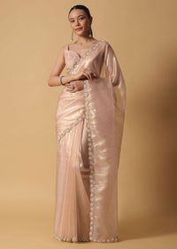 Beige Toned Tissue Saree With Cut Dana Embroidered Borders