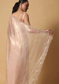 Beige Toned Tissue Saree With Cut Dana Embroidered Borders