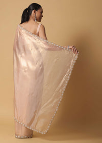 Beige Toned Tissue Saree With Cut Dana Embroidered Borders